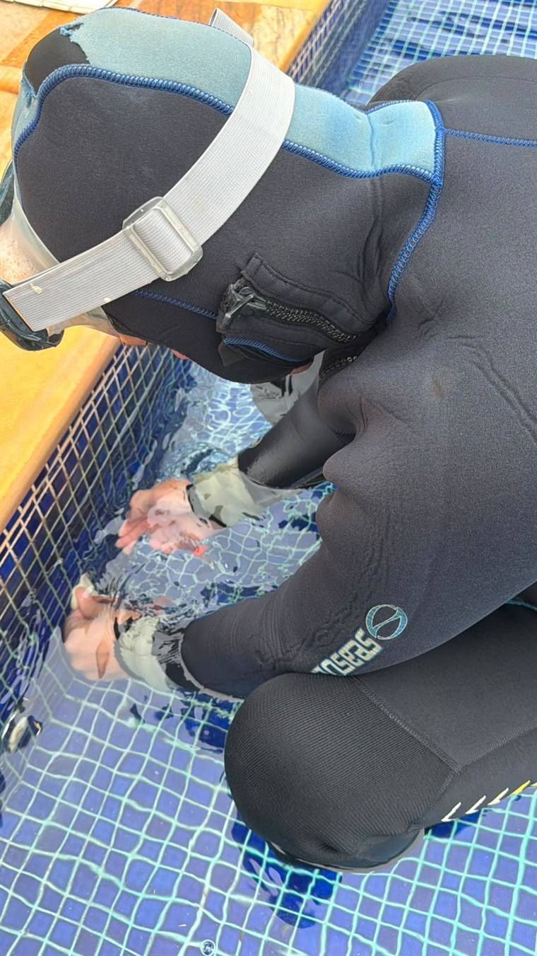 Profissional de neoprene com máscara inspecionando a piscina na linha d'água